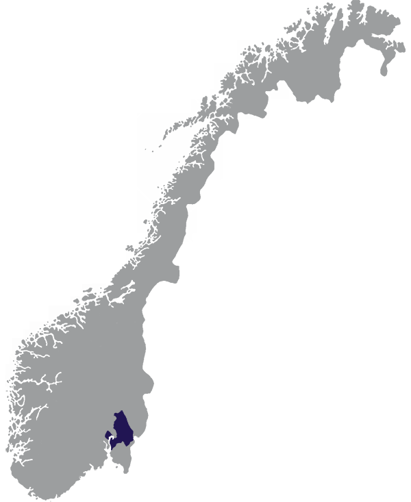 Landkaart Noorwegen grijs met provincie Akershus donkerblauw op transparante achtergrond - 600 * 733 pixels